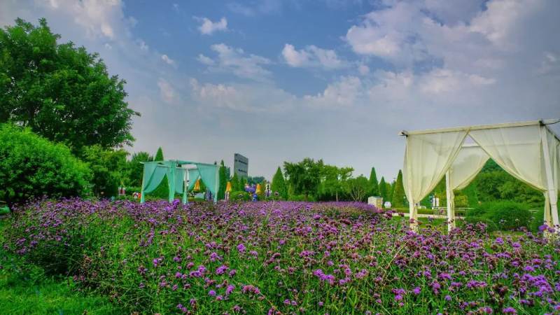 悟空体育是什么app?一文说清它的功能定位与使用场景